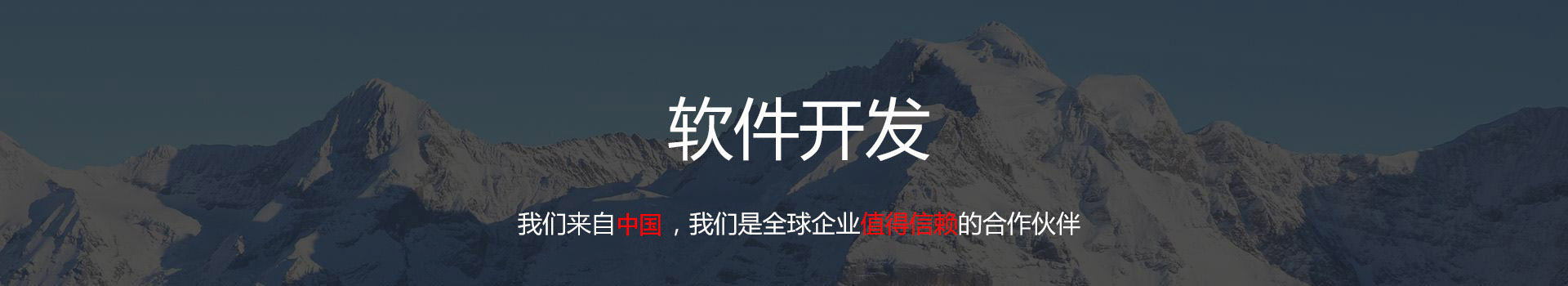 软件开发