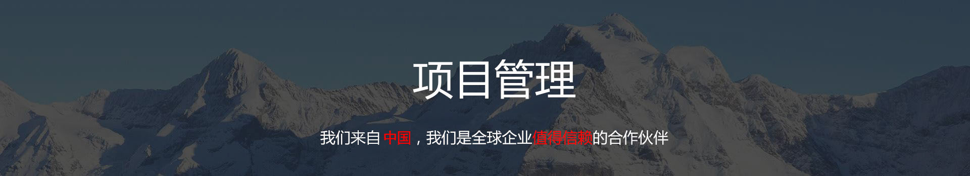 项目管理