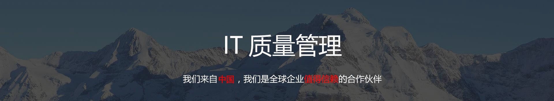 IT质量管理
